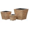 vidaXL Garden Raised Beds 3 pcs Water Hyacinth