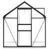 vidaXL Greenhouse Anthracite Aluminum 26.6 ftÂ¬â‰¤