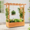 Raised Garden Bed with Trellis or Climbing Plant and Pot Hanging