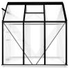 vidaXL Greenhouse Anthracite Aluminum 26.6 ftÂ¬â‰¤